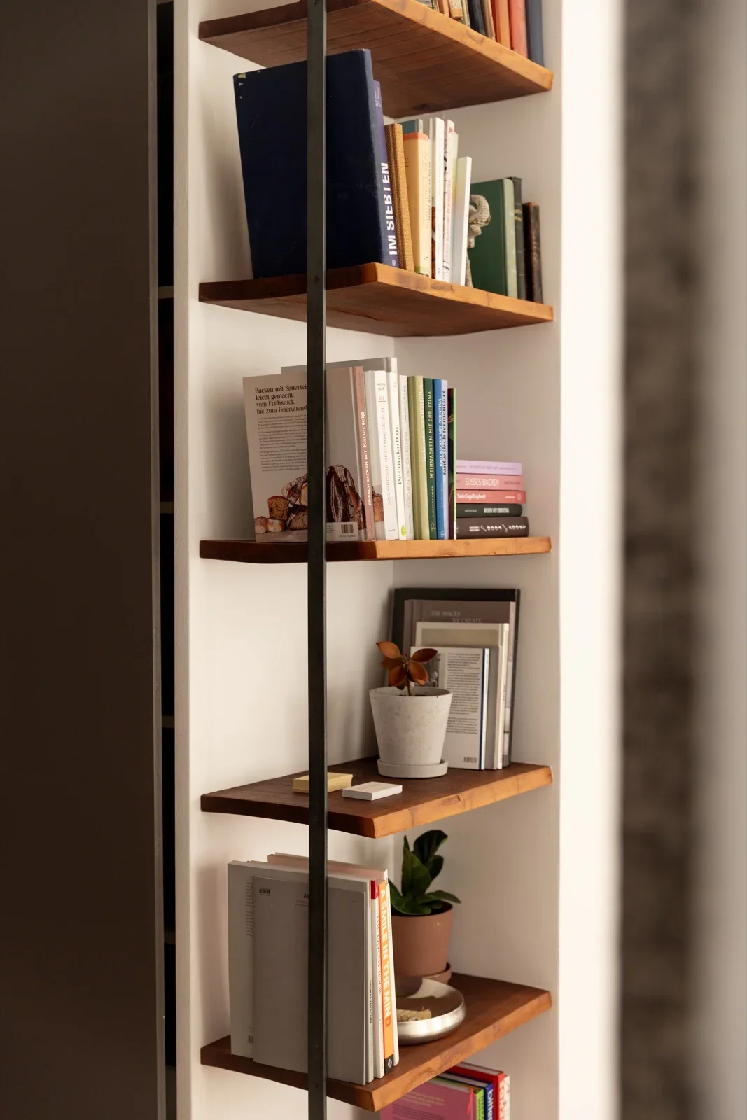 Regal mit Büchern und Pflanze